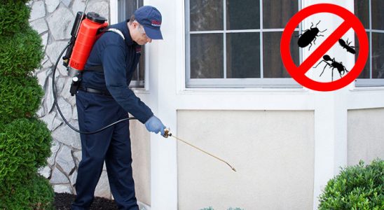 Pervari Böcek İlaçlama böcek ilaçlama ve haşere kontrolü — ilaclama-tr.com